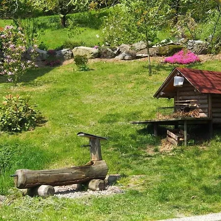 Auf Dem Sohlberg Dom wakacyjny *