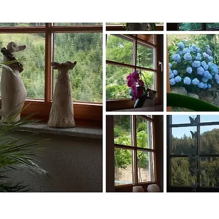 Auf Dem Sohlberg * Simmersbach