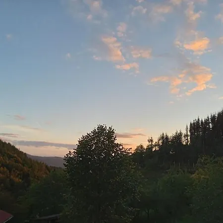 Dom wakacyjny Auf Dem Sohlberg *