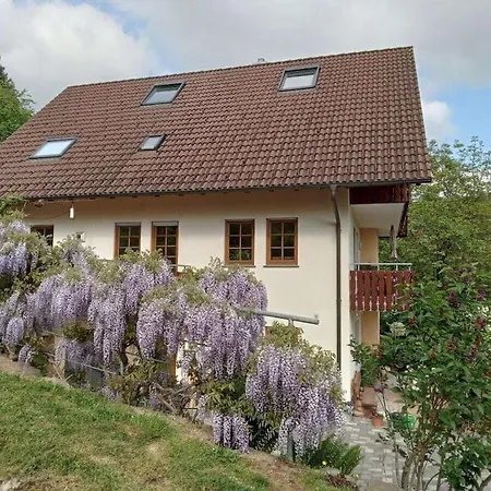 Auf Dem Sohlberg Dom wakacyjny