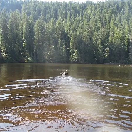 Auf Dem Sohlberg Simmersbach