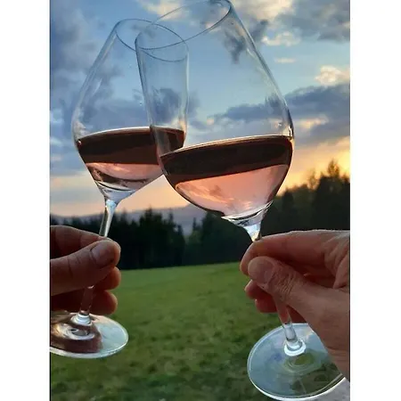 Auf Dem Sohlberg Dom wakacyjny